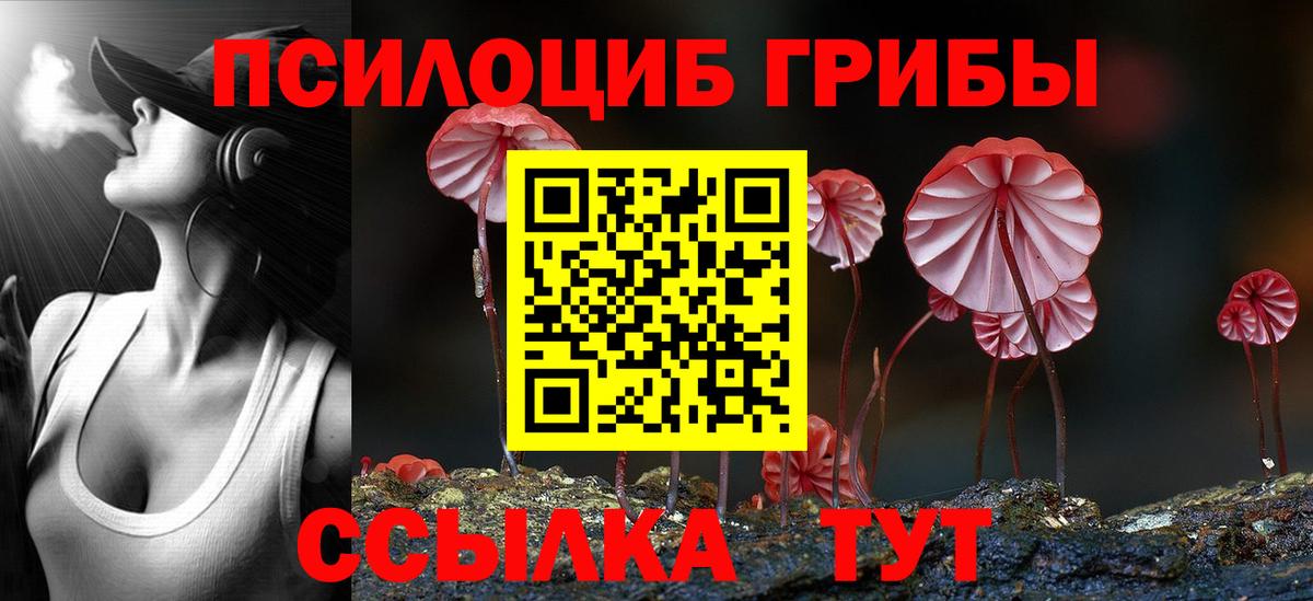 Псилоцибиновые грибы Cubensis Симферополь