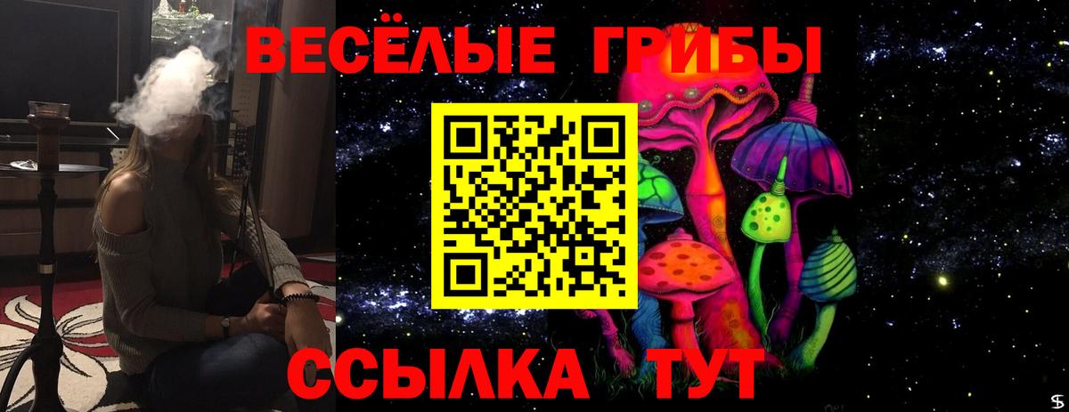 Симферополь  Псилоцибиновые грибы Psilocybe  Галлюциногенные грибы мицелий  Вход с VPN 